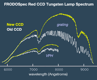 FRODOSpec Red Old/New CCD Spectrum of Tungsten Lamp
