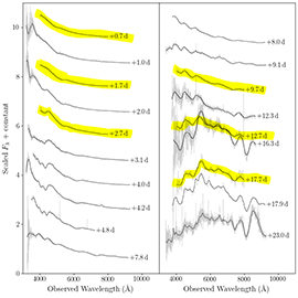 spectra of supernova